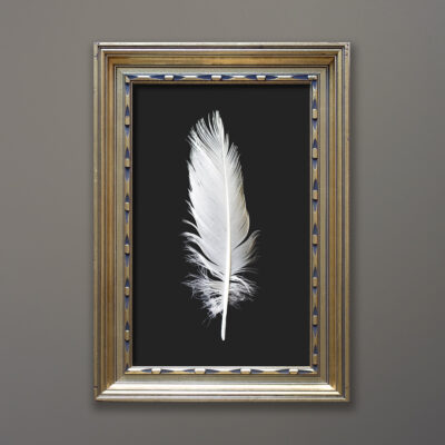 feather-gold-gilt-wood-frame