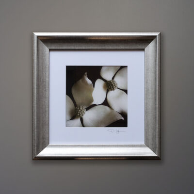 debi-shapiro-dogwood-silver-frame