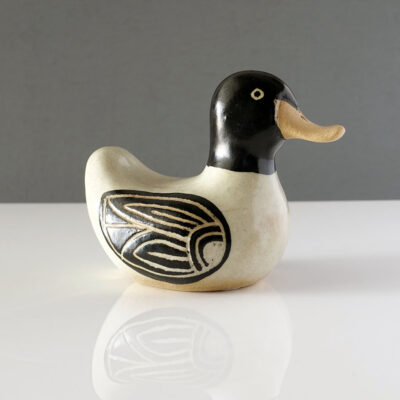 Ricardo-nowinski-uruguay-duck-01