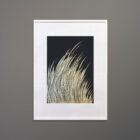 moya-xxl-grasses-neg-framed-42x56