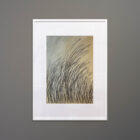 moya-xxl-grasses-pos-framed-42x56