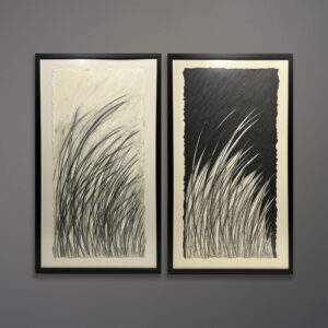 Moya Aiken Tall Grasses Commission