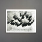 Bruce J. Bloom Monochrome Print 6 x 9-b