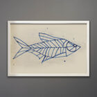 Kubach Fish Drawing Series 26 x 18