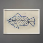 Kubach Fish Drawing Series 26 x 18