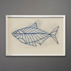 Kubach Fish Drawing Series 26 x 18