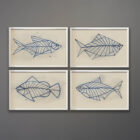 Kubach Fish Drawing Series 26 x 18