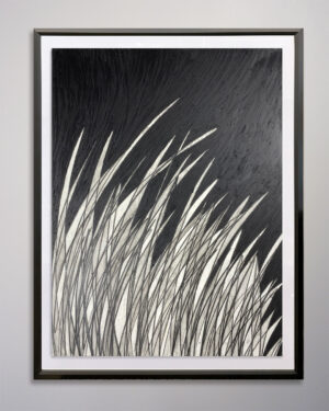 Moya Aiken Grasses Original Oil on Paper 39 x 52