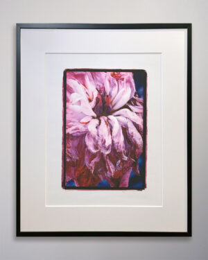 Shonna Valeska Tree Peony Signed Print 27 x 32-1