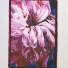 Shonna Valeska Tree Peony Signed Print 27 x 32-4