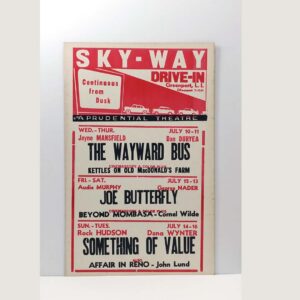 sky-way-drive-in-the-wayward-bus